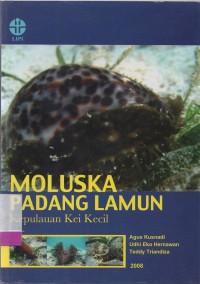 Image of Moluska Padang lamun: Kepulauan Kei Kecil